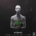 دانلود آهنگ ایران خانوم از شایع